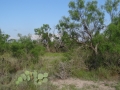 DSC05782.JPG