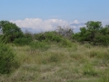 DSC05783.JPG