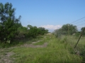 DSC05784.JPG