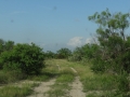 DSC05794.JPG
