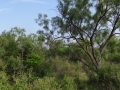 DSC05801.JPG