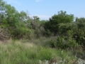 DSC05802.JPG