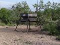 DSC05804.JPG