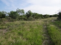 DSC05807.JPG