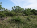DSC05809.JPG