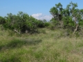 DSC05812.JPG