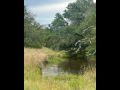 2-5576612316