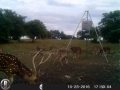 HarperRanch2