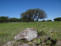 HarperRanch4
