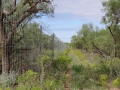 DSC07594.JPG