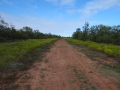 DSC07601.JPG