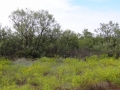 DSC07603.JPG