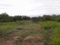 DSC07604.JPG