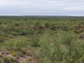 DSC07611.JPG