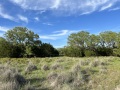 IMG_1782