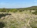 IMG_1788
