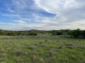 IMG_1837