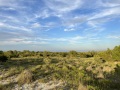 IMG_1871