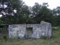 DSC08305